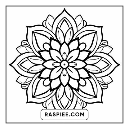 134 Bold and Easy Mandala Coloring Pages