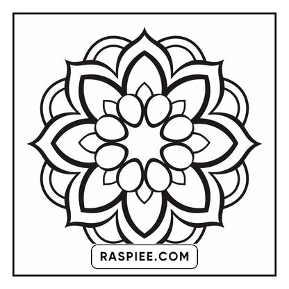 134 Bold and Easy Mandala Coloring Pages