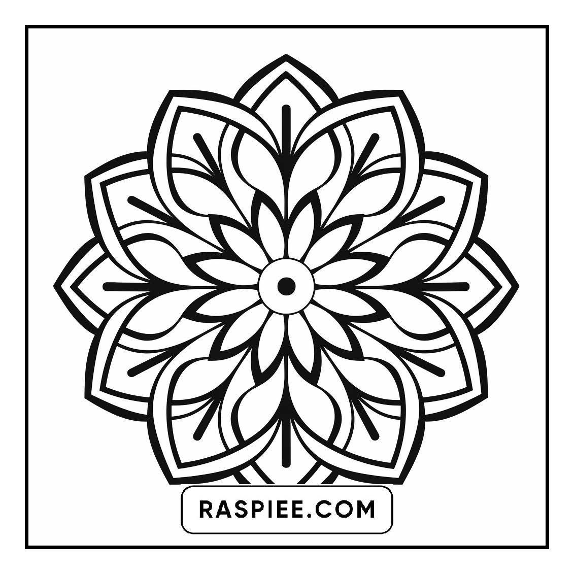 134 Bold and Easy Mandala Coloring Pages