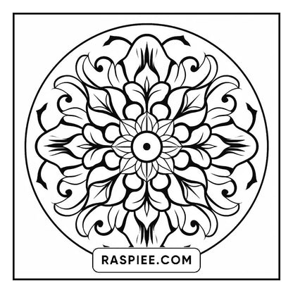 134 Bold and Easy Mandala Coloring Pages