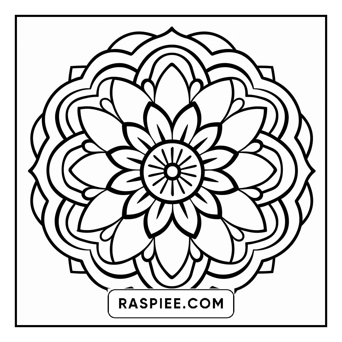 134 Bold and Easy Mandala Coloring Pages