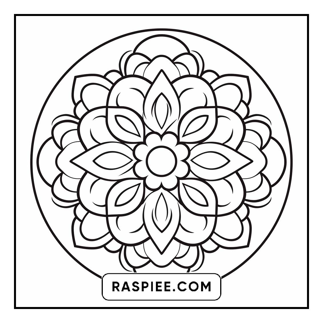 134 Bold and Easy Mandala Coloring Pages