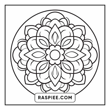 134 Bold and Easy Mandala Coloring Pages