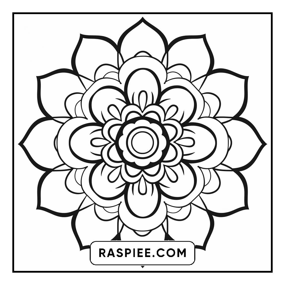 134 Bold and Easy Mandala Coloring Pages