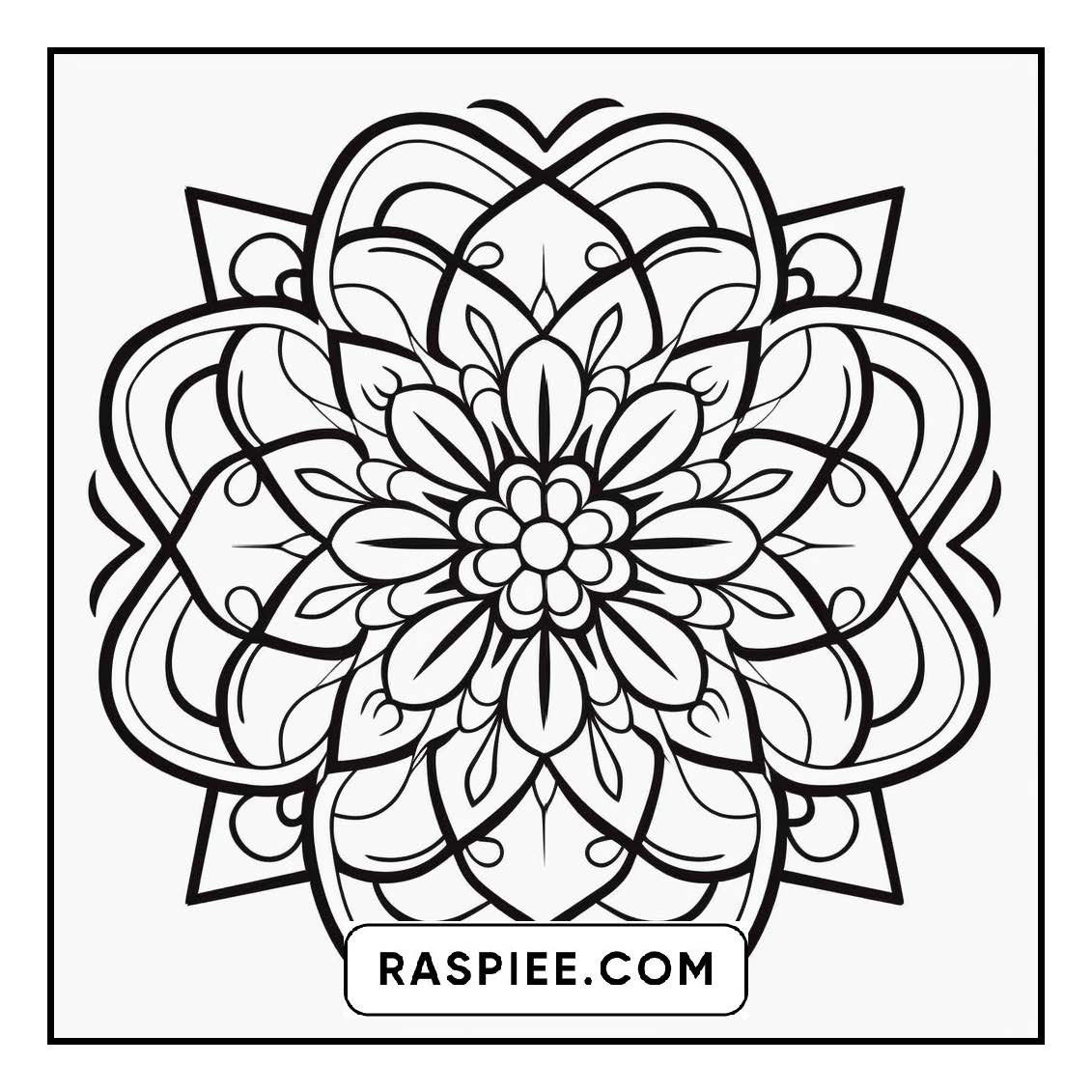 134 Bold and Easy Mandala Coloring Pages