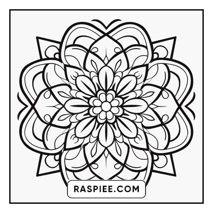 134 Bold and Easy Mandala Coloring Pages