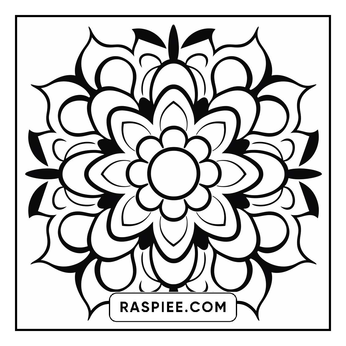 134 Bold and Easy Mandala Coloring Pages