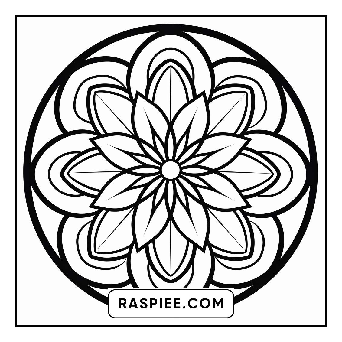 134 Bold and Easy Mandala Coloring Pages