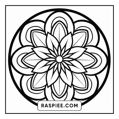 134 Bold and Easy Mandala Coloring Pages