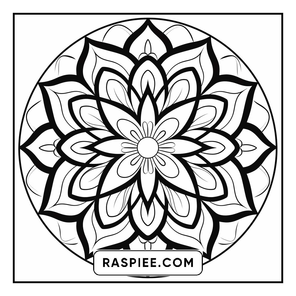 134 Bold and Easy Mandala Coloring Pages