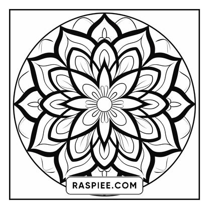134 Bold and Easy Mandala Coloring Pages