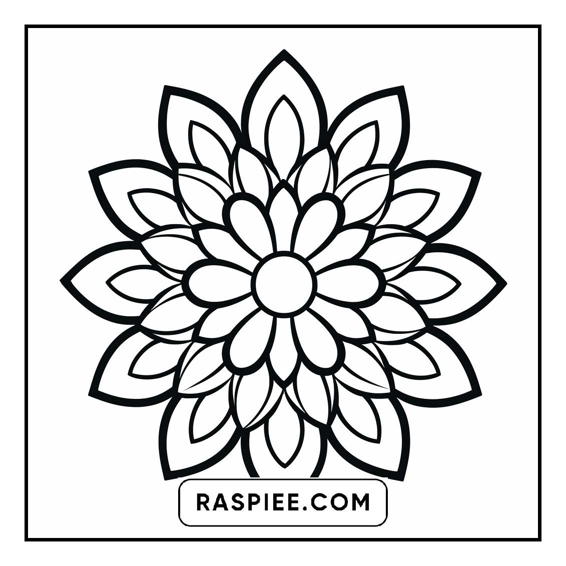 134 Bold and Easy Mandala Coloring Pages
