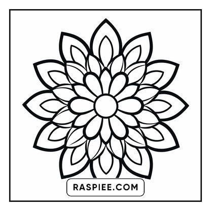 134 Bold and Easy Mandala Coloring Pages