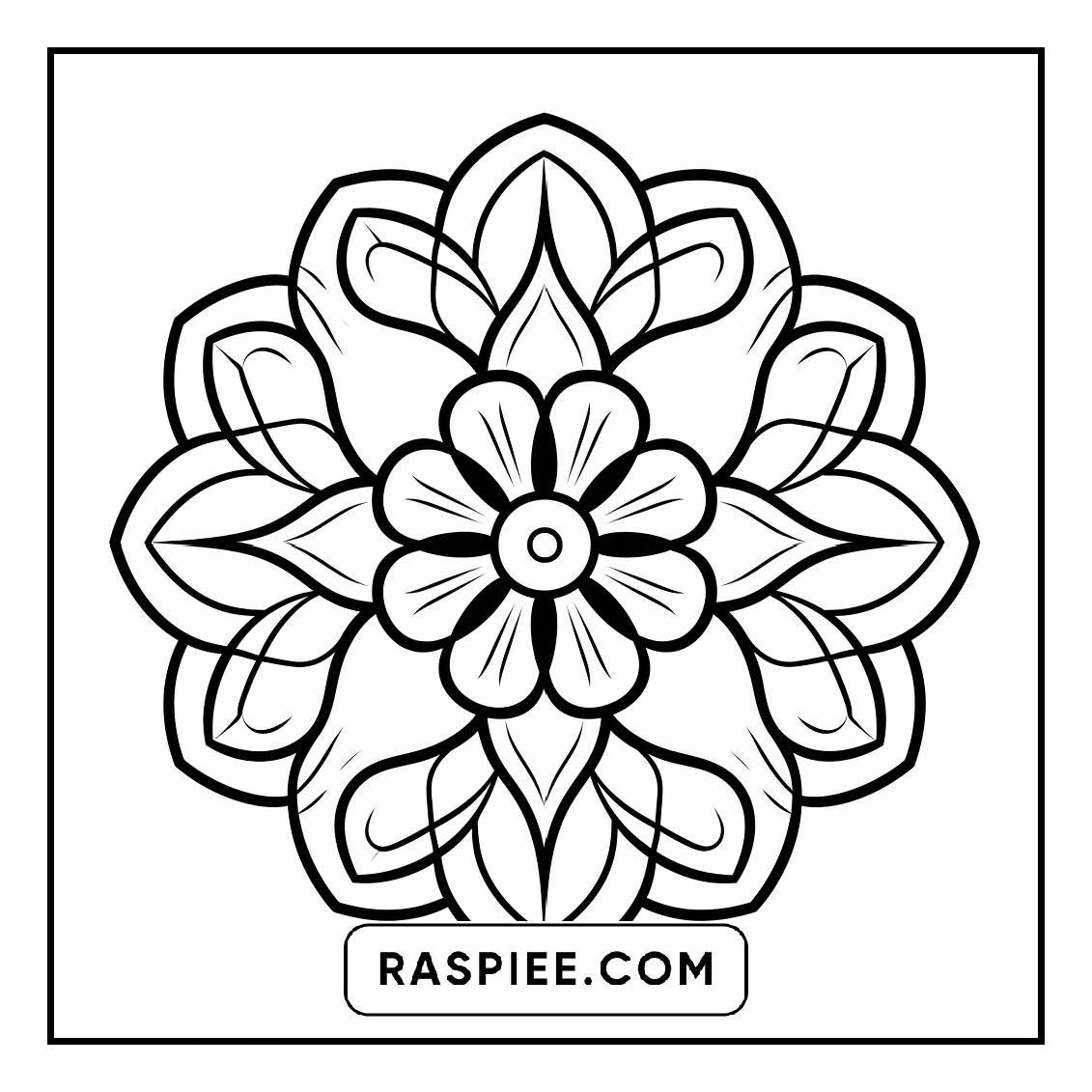 134 Bold and Easy Mandala Coloring Pages