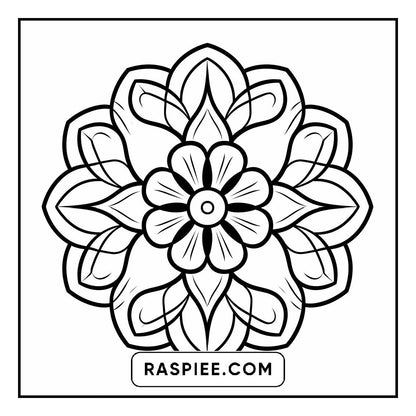 134 Bold and Easy Mandala Coloring Pages