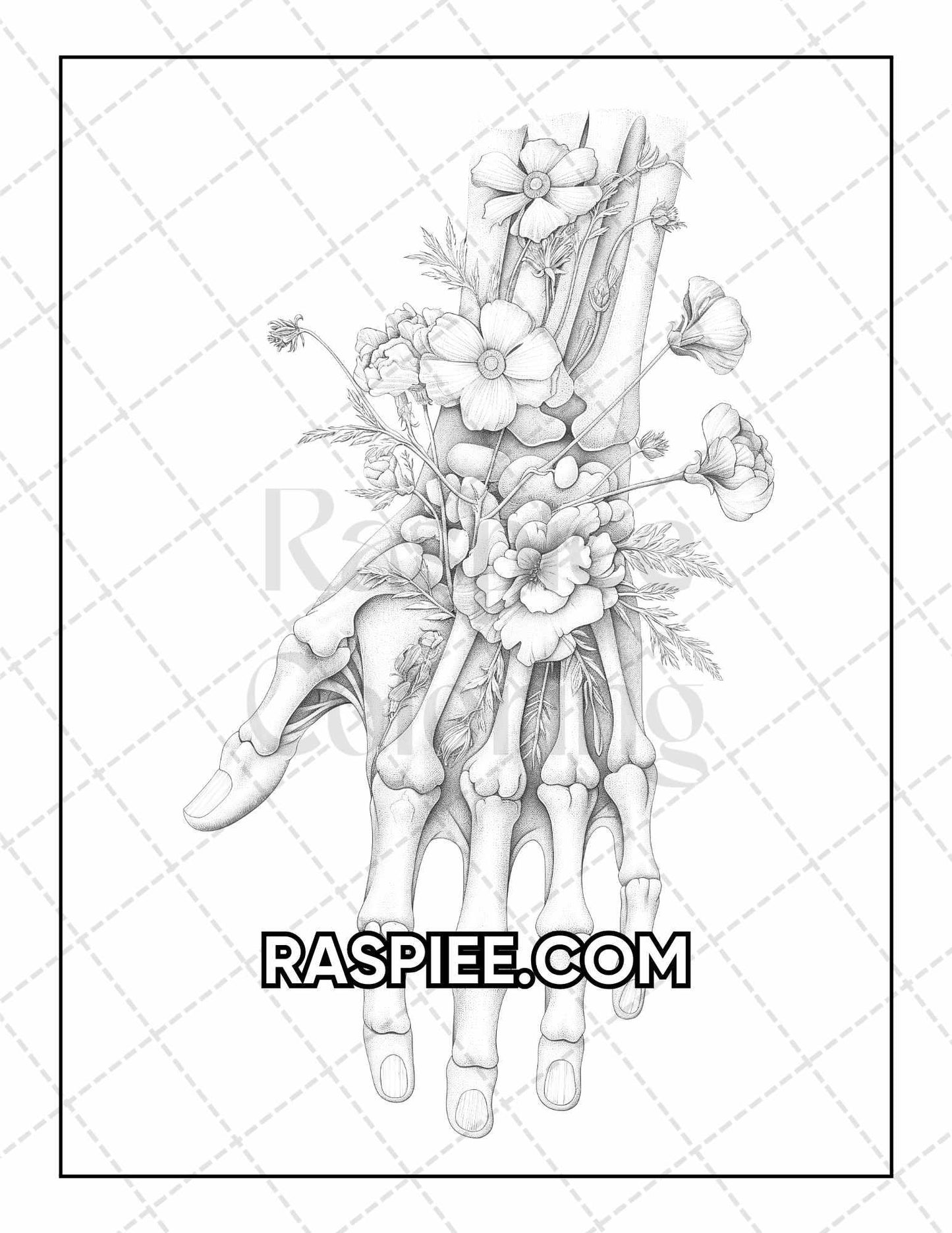 50 Botanical Anatomy Adult Coloring Pages Printable PDF Instant Download
