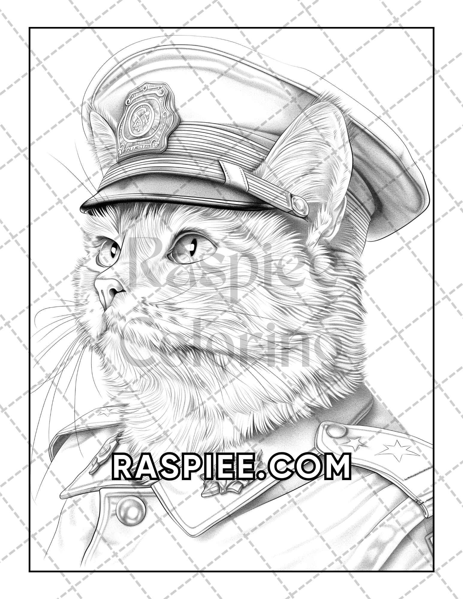 60 Cats Dressed Up Adult Coloring Pages Printable PDF Instant Download