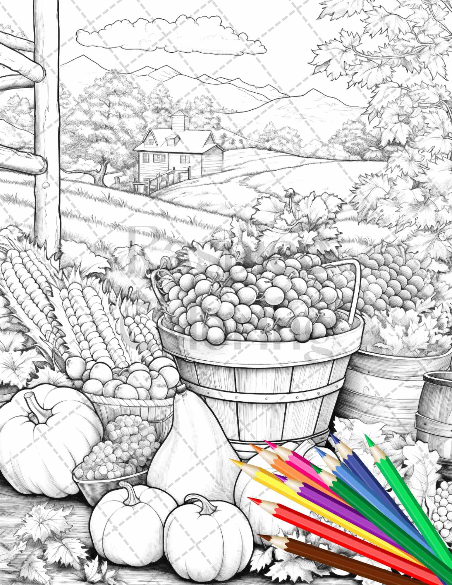 Autumn Harvest Grayscale Coloring Pages Printable for Adults, Relaxing Fall Themed Art, PDF File Instant Download