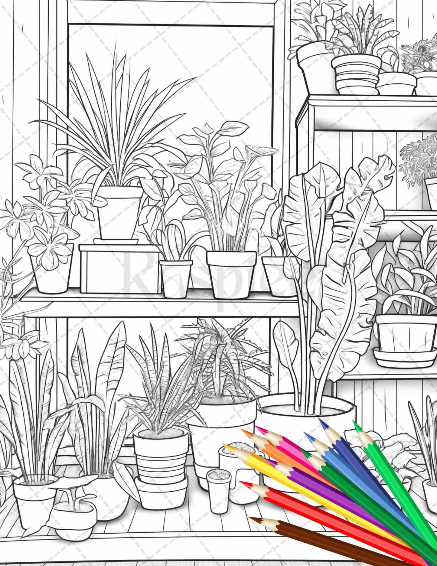 38 Indoor Houseplants Coloring Pages Printable for Adults, Grayscale Coloring Page, PDF File Instant Download