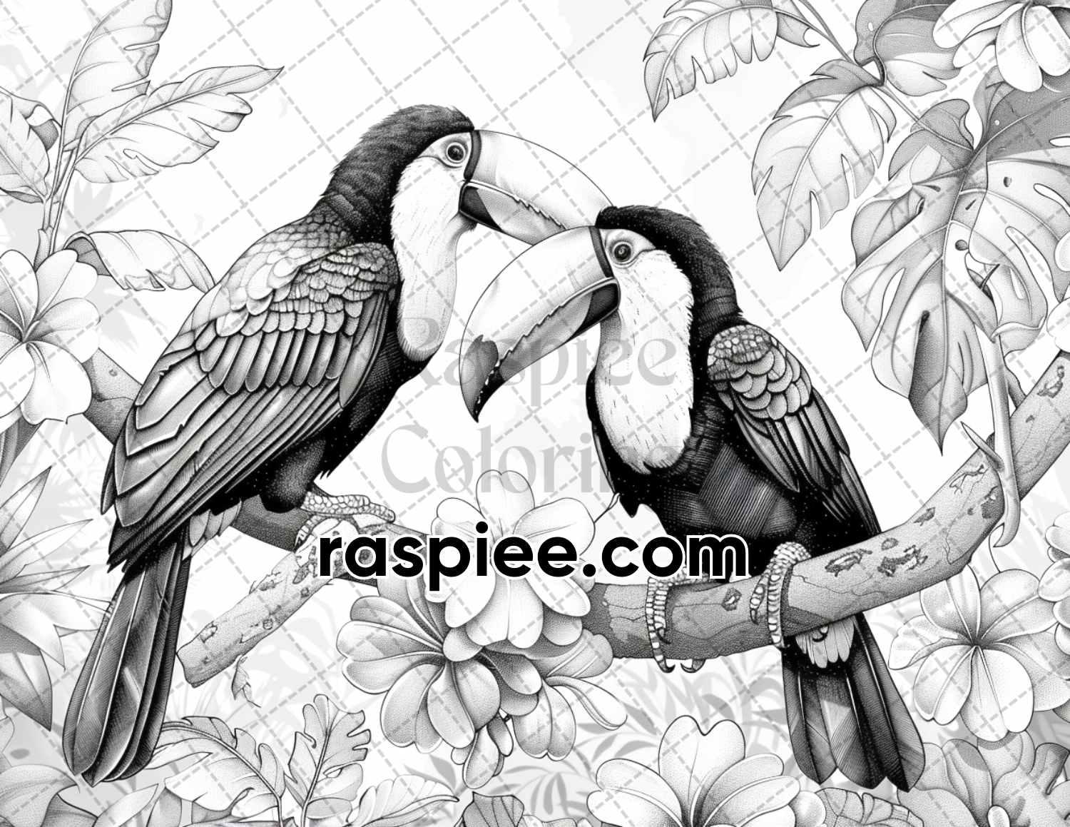 65 Rainforest Waterfall Grayscale Adult Coloring Pages, Printable PDF Instant Download