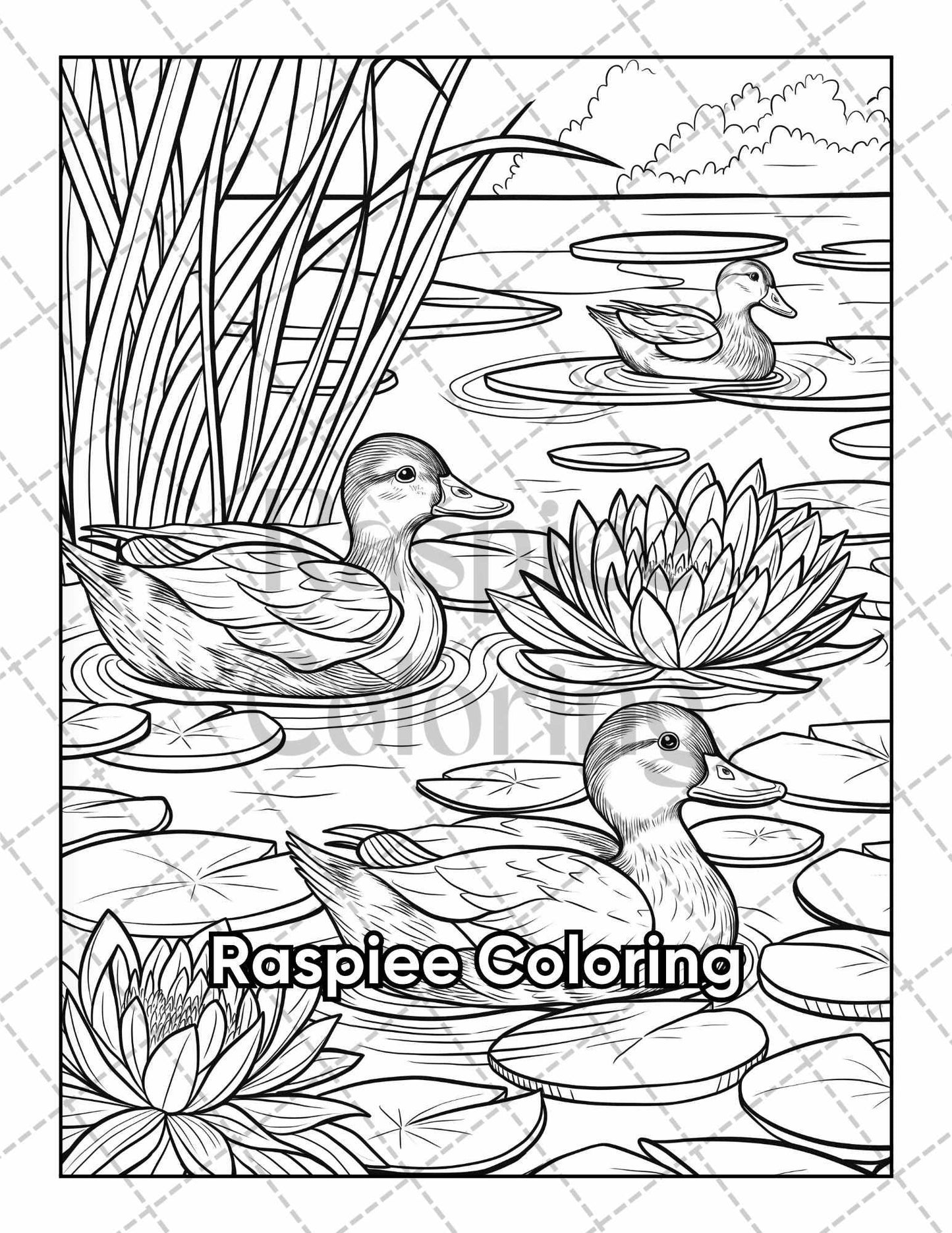 50 Country Farm Scenes Adult Coloring Pages Printable PDF Instant Download