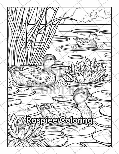 50 Country Farm Scenes Adult Coloring Pages Printable PDF Instant Download