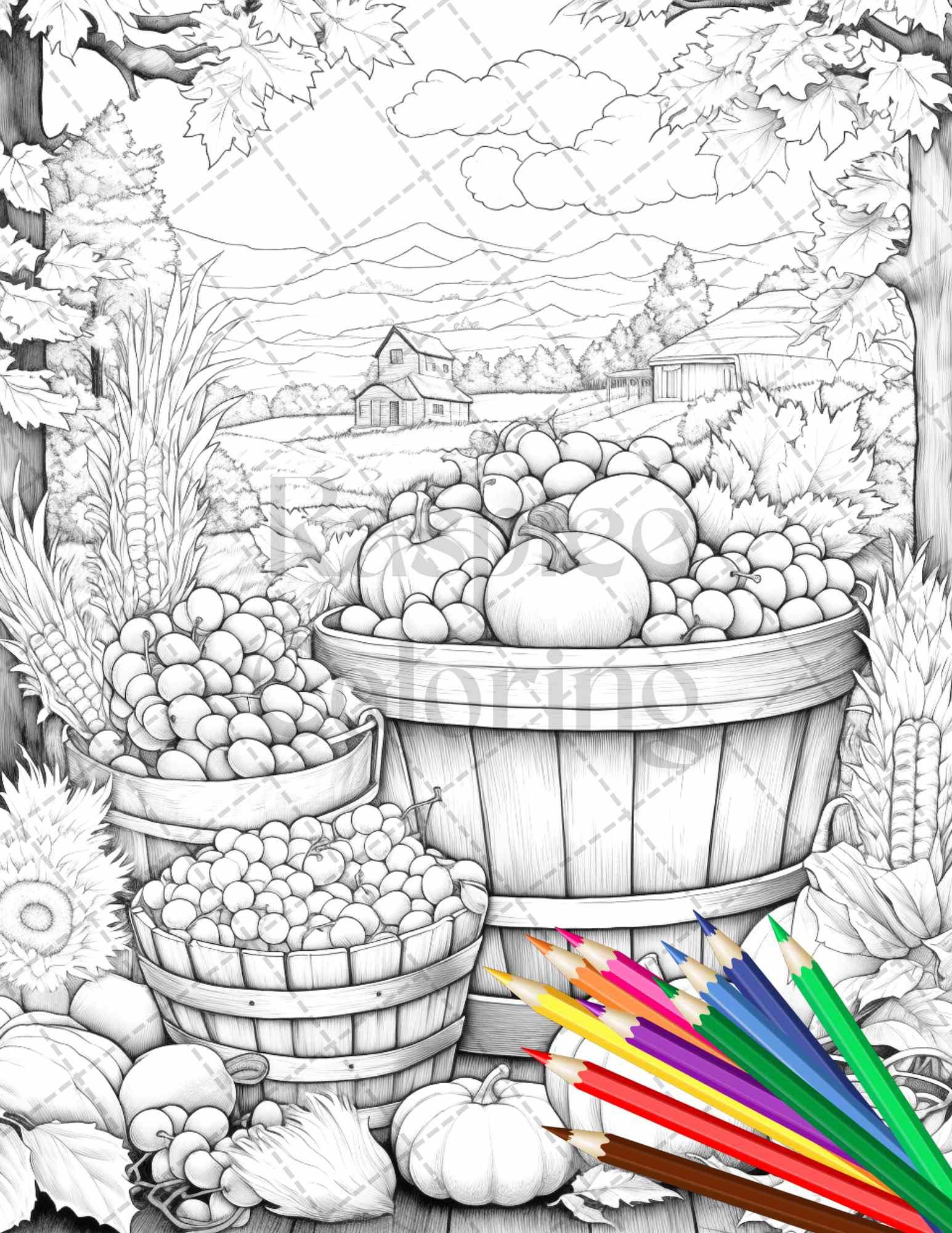 Autumn Harvest Grayscale Coloring Pages Printable for Adults, Relaxing Fall Themed Art, PDF File Instant Download