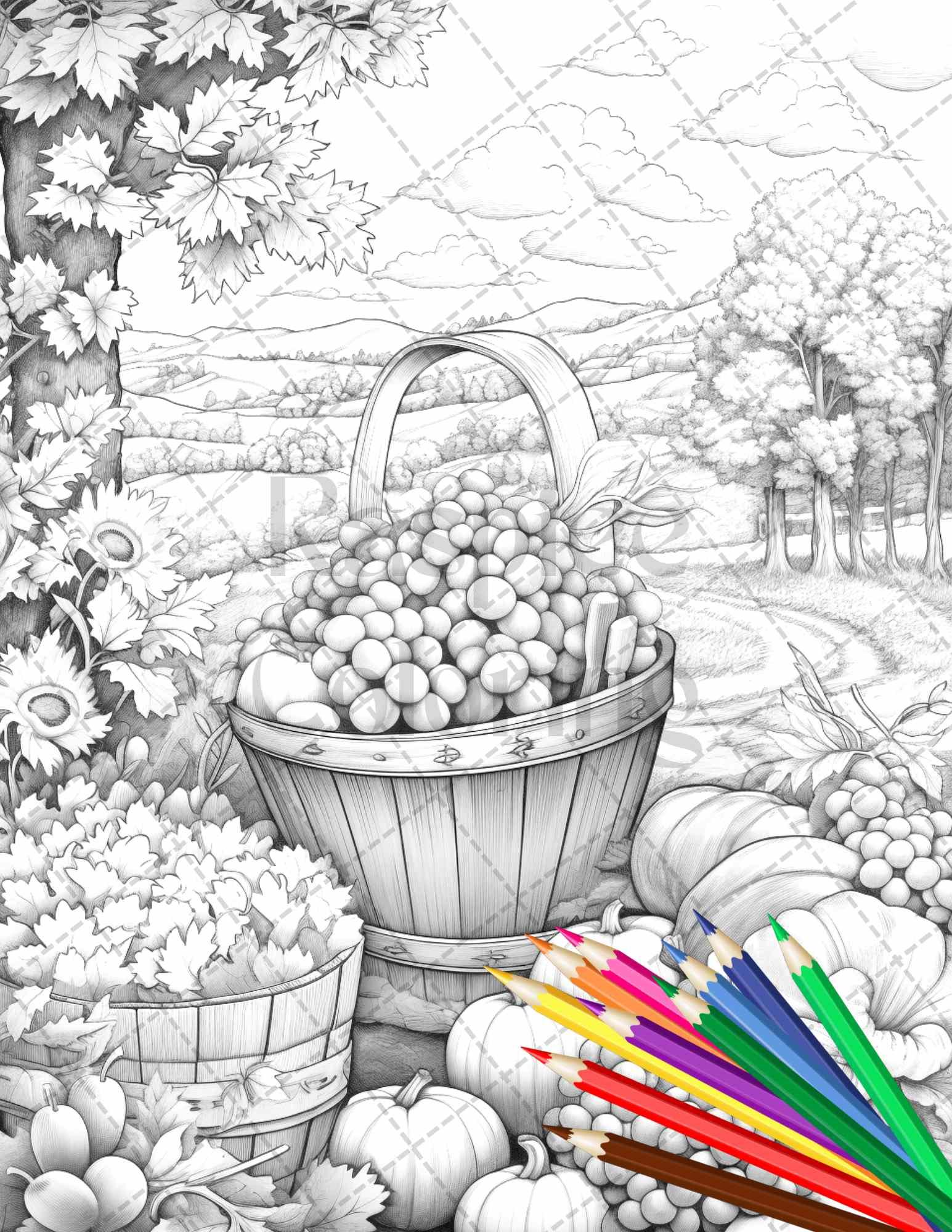 Autumn Harvest Grayscale Coloring Pages Printable for Adults, Relaxing Fall Themed Art, PDF File Instant Download