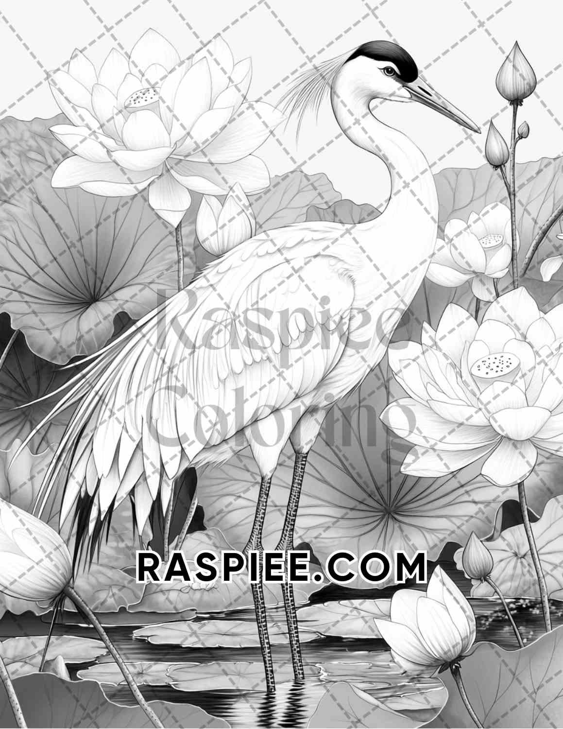 Flowers and Birds Adult Coloring Pages Printable PDF Instant Download