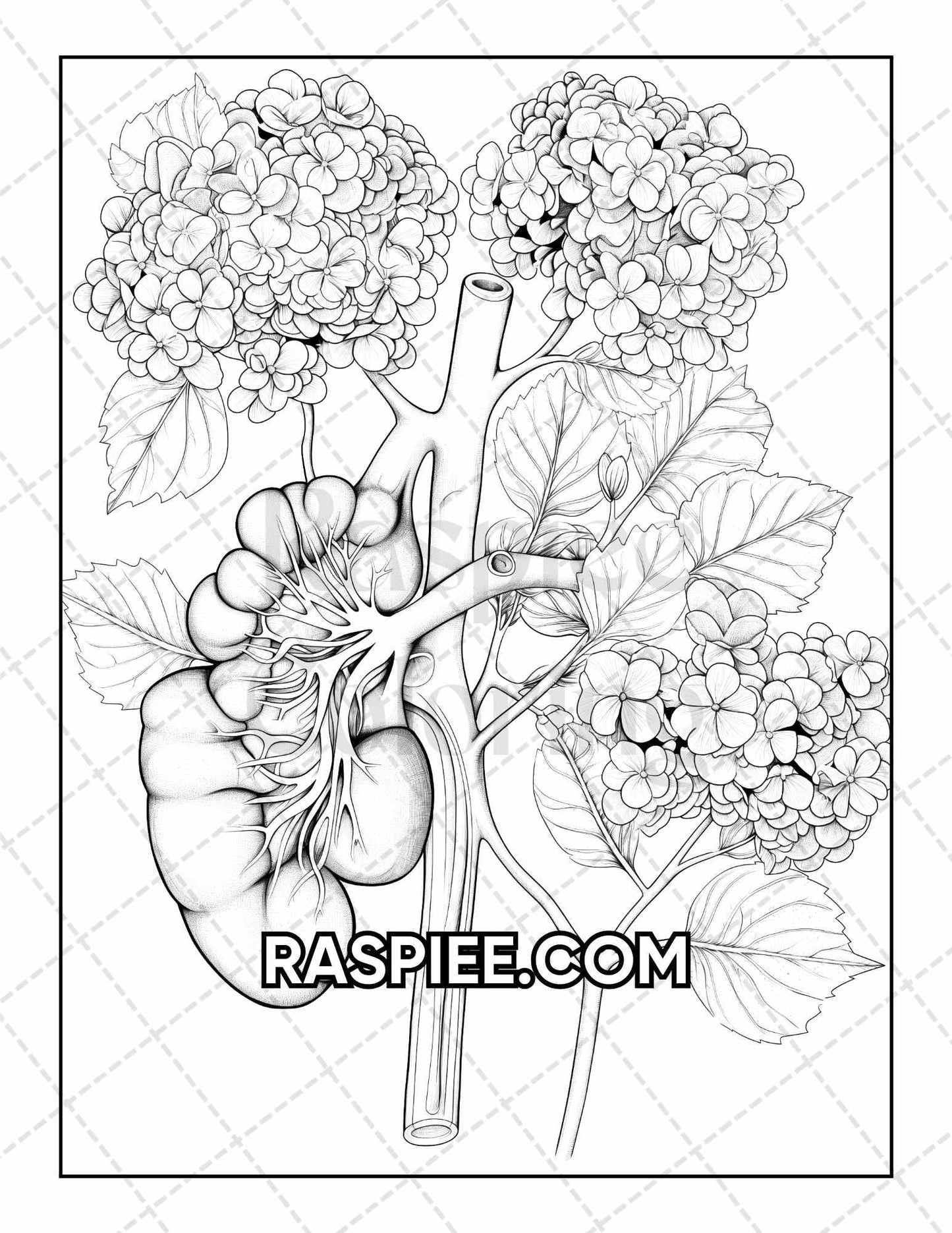 50 Botanical Anatomy Adult Coloring Pages Printable PDF Instant Download