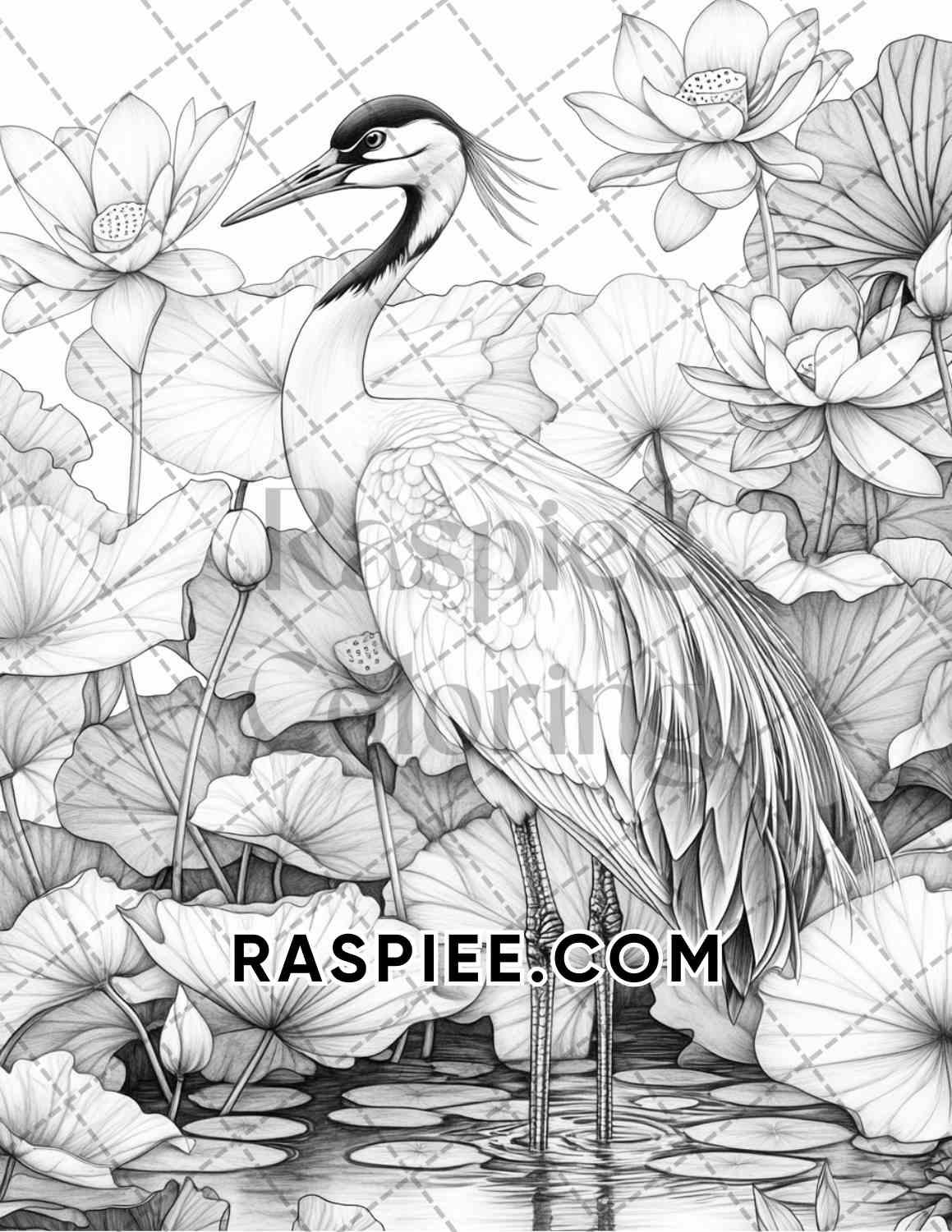 Flowers and Birds Adult Coloring Pages Printable PDF Instant Download