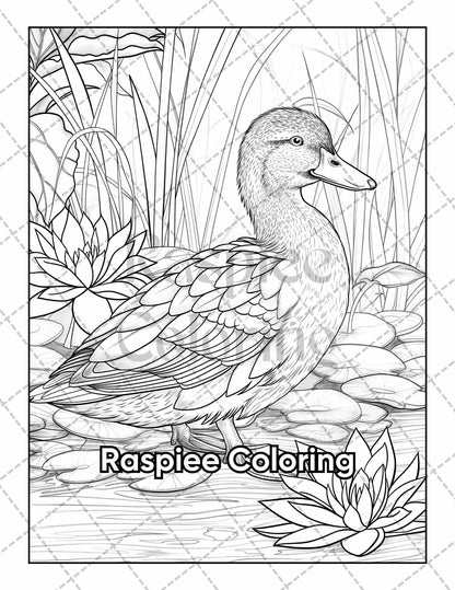 50 Country Farm Scenes Adult Coloring Pages Printable PDF Instant Download