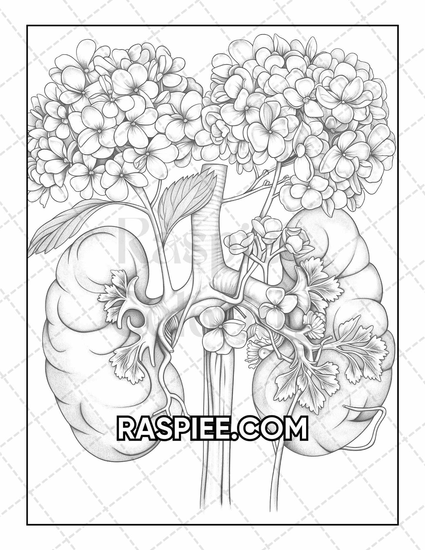 50 Botanical Anatomy Adult Coloring Pages Printable PDF Instant Download