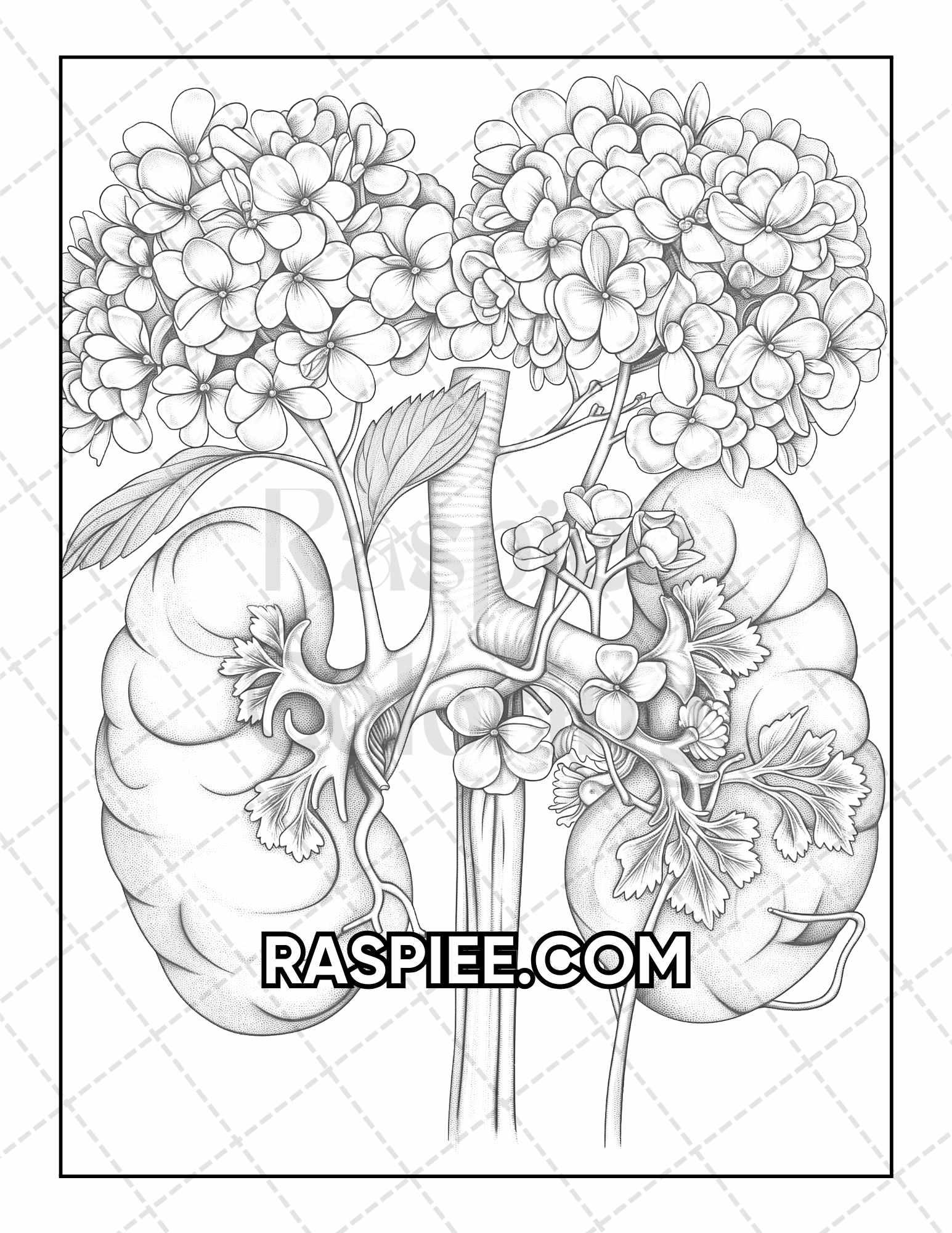 50 Botanical Anatomy Adult Coloring Pages Printable PDF Instant Download