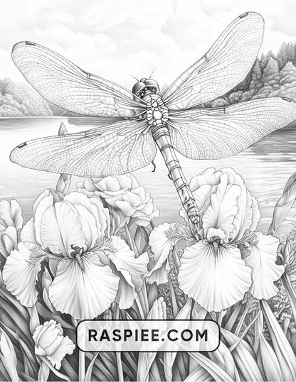 Insects and Flowers Adult Coloring Pages