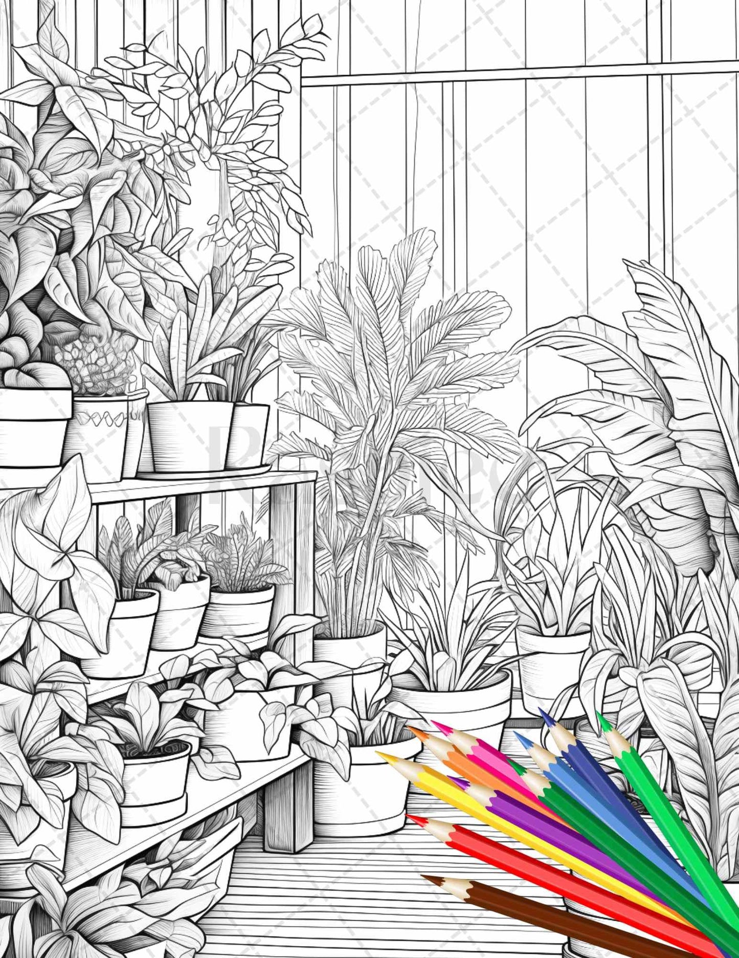 38 Indoor Houseplants Coloring Pages Printable for Adults, Grayscale Coloring Page, PDF File Instant Download