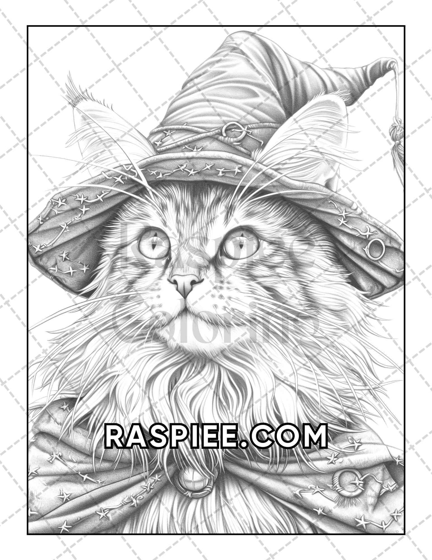 60 Cats Dressed Up Adult Coloring Pages Printable PDF Instant Download