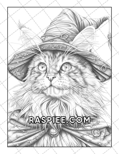 60 Cats Dressed Up Adult Coloring Pages Printable PDF Instant Download