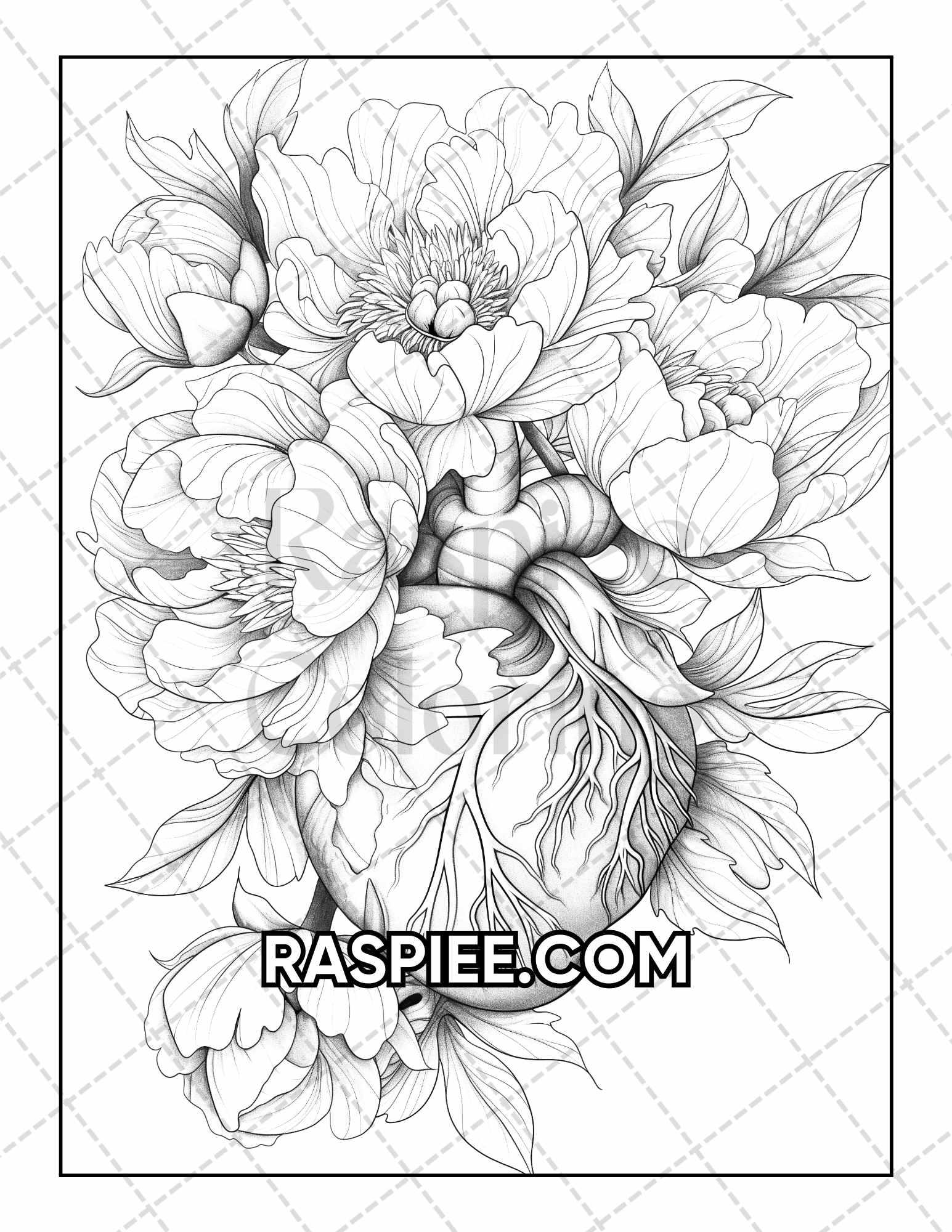 50 Botanical Anatomy Adult Coloring Pages Printable PDF Instant Download