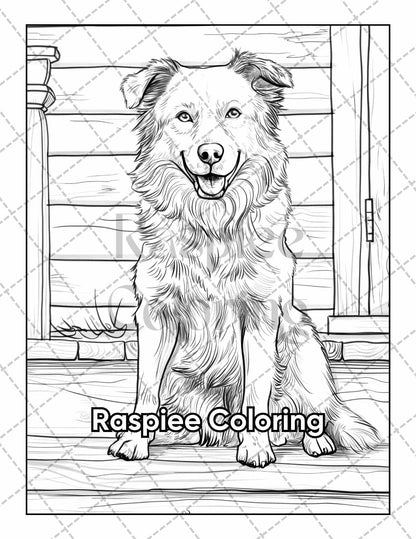 50 Country Farm Scenes Adult Coloring Pages Printable PDF Instant Download