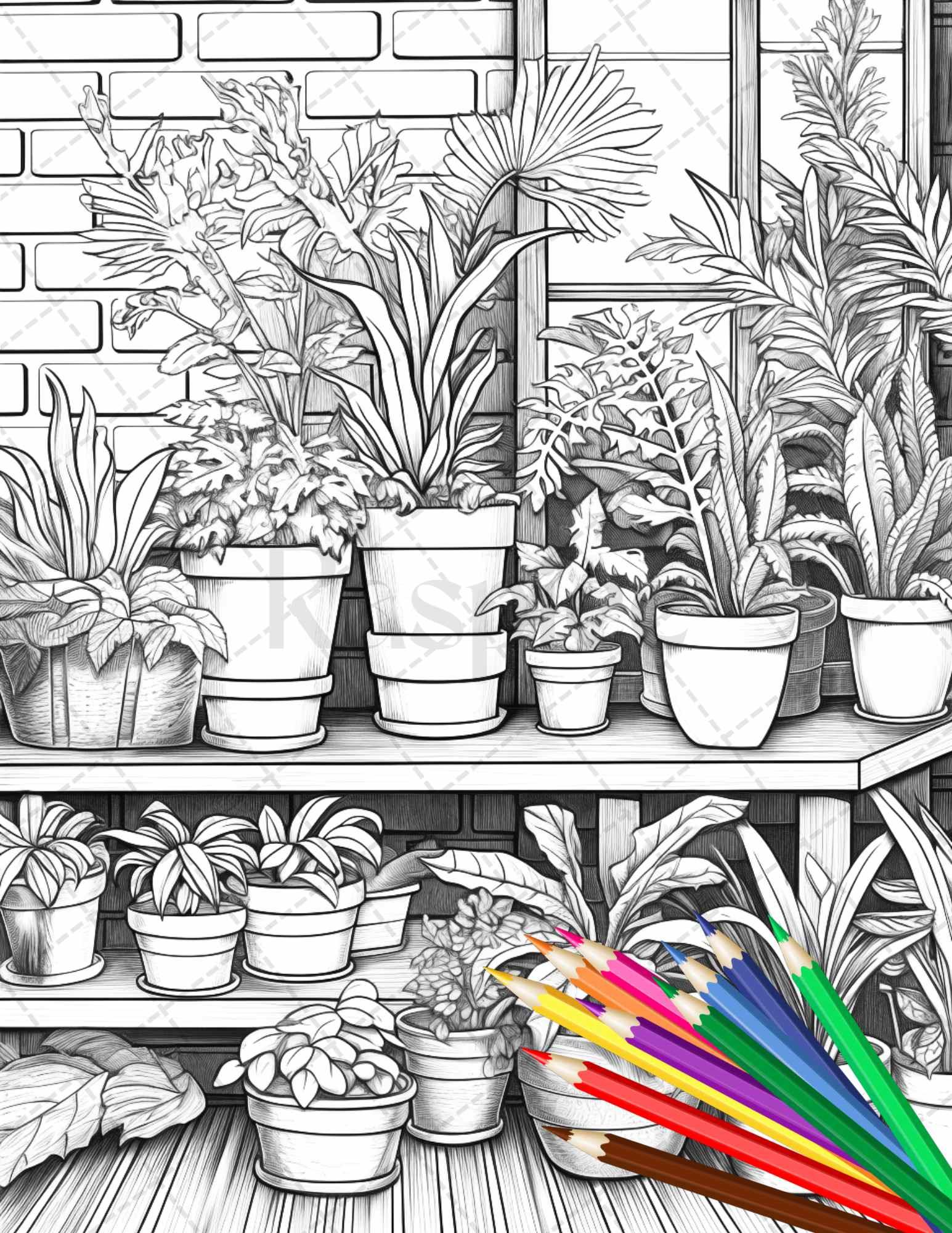 38 Indoor Houseplants Coloring Pages Printable for Adults, Grayscale Coloring Page, PDF File Instant Download