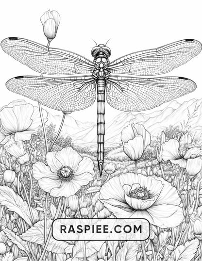 Insects and Flowers Adult Coloring Pages