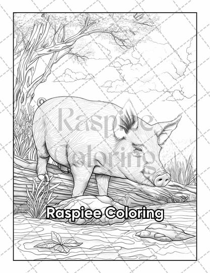 50 Country Farm Scenes Adult Coloring Pages Printable PDF Instant Download