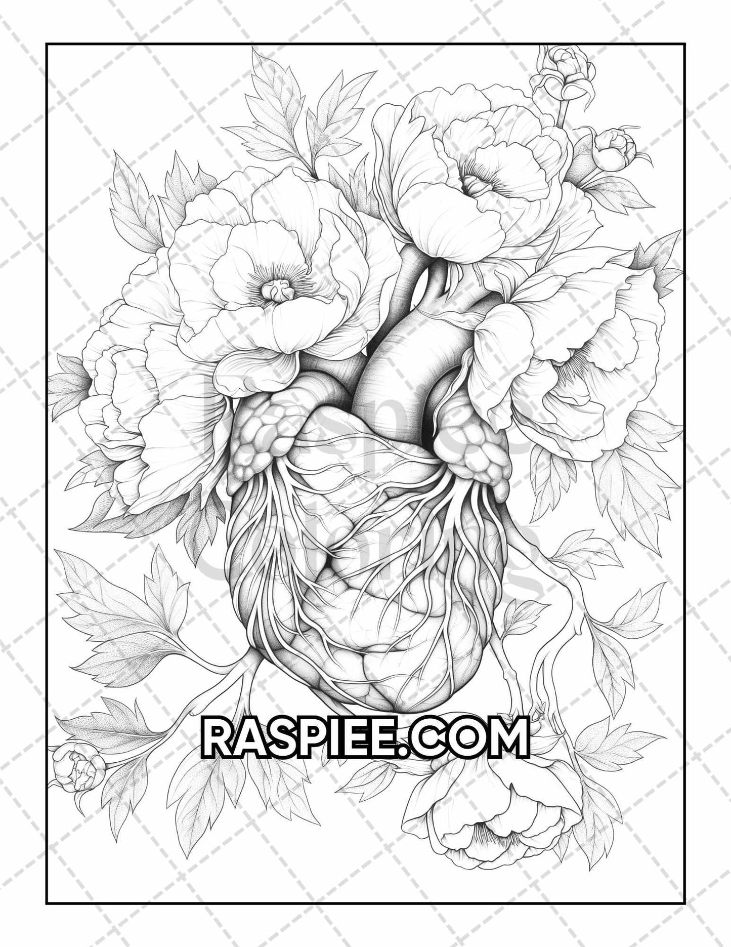 50 Botanical Anatomy Adult Coloring Pages Printable PDF Instant Download