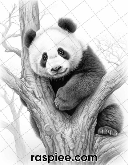 55 Wild Animals Grayscale Coloring Pages for Adults, Printable PDF Instant Download