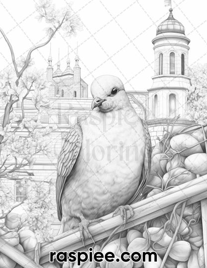 60 Spring Birds Grayscale Adult Coloring Pages, Printable PDF Instant Download
