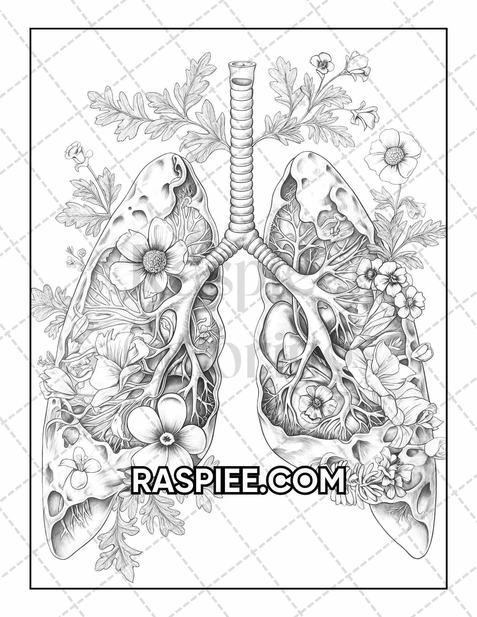 50 Botanical Anatomy Adult Coloring Pages Printable PDF Instant Download