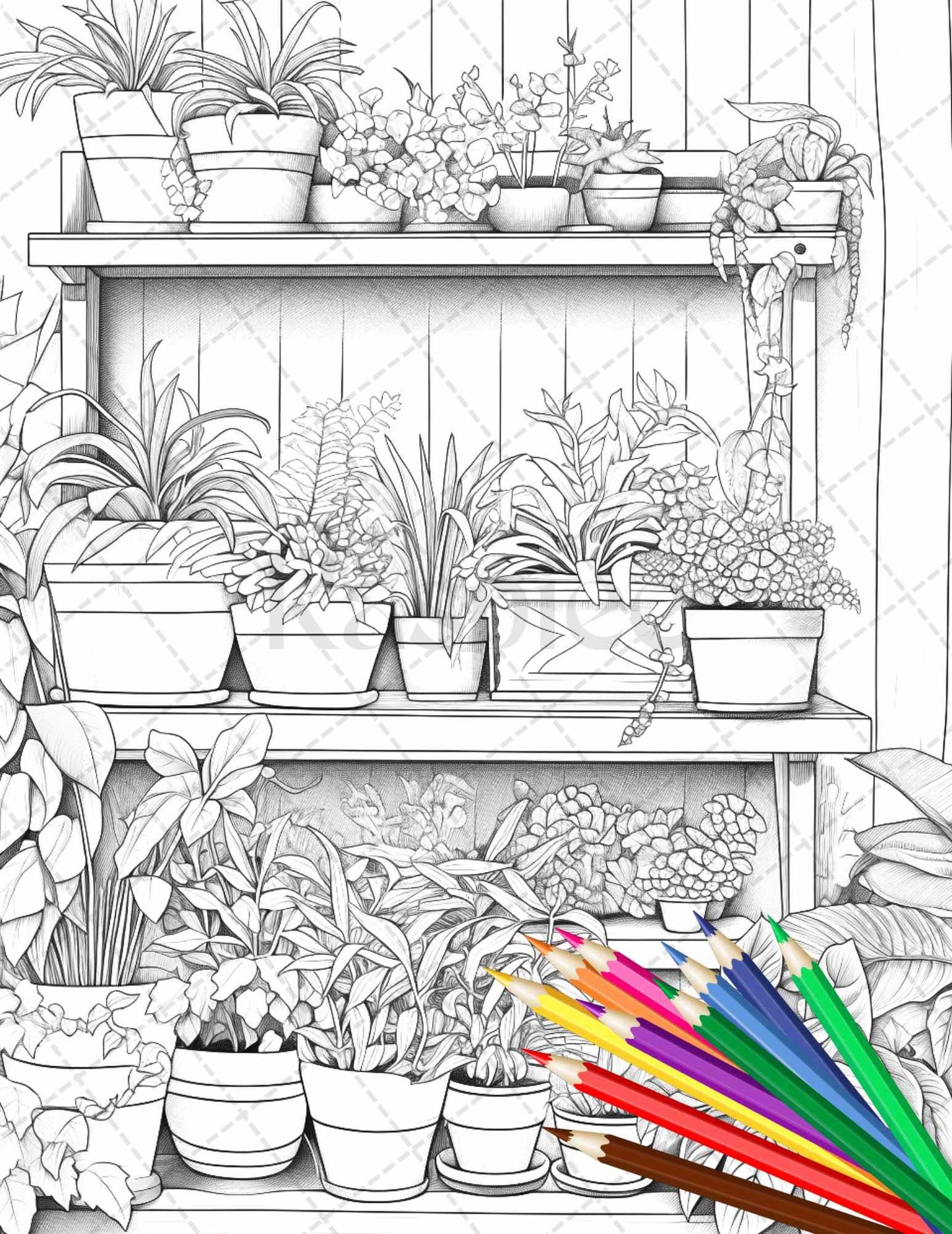 38 Indoor Houseplants Coloring Pages Printable for Adults, Grayscale Coloring Page, PDF File Instant Download