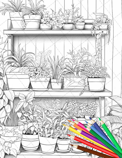 38 Indoor Houseplants Coloring Pages Printable for Adults, Grayscale Coloring Page, PDF File Instant Download