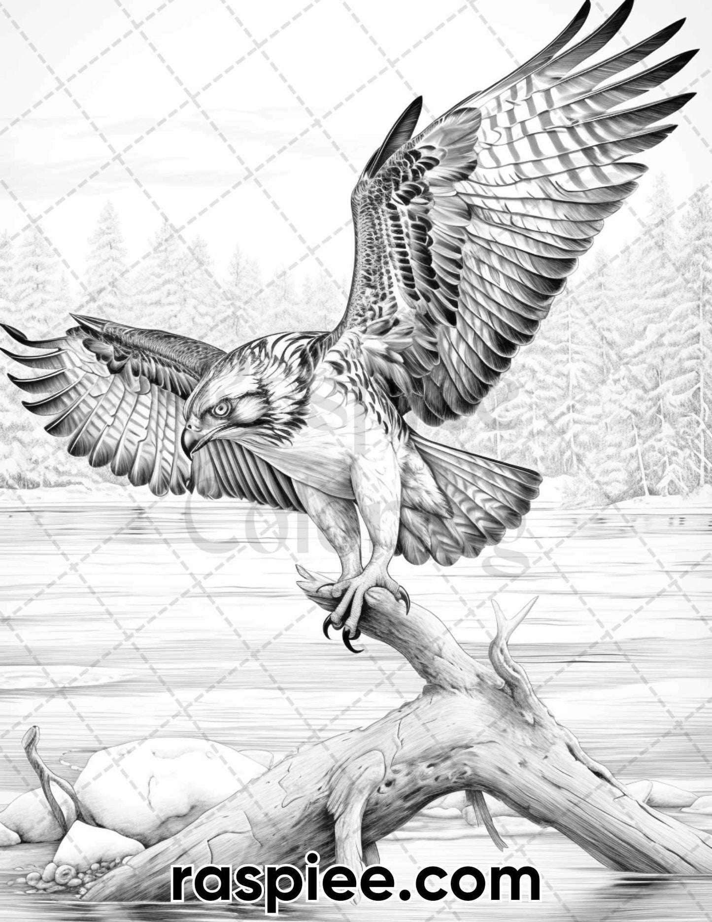 55 Winter Wildlife Grayscale Coloring Pages for Adults, Printable PDF Instant Download
